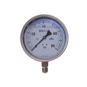 YEN膜盒耐震壓力表